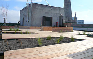 Shire Superlite substrate used as part of a vegetated roof garden in Bristol